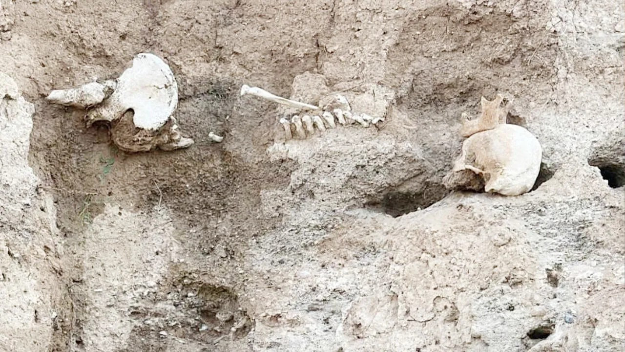Boğazlıyan’da bulunan insan kemiklerine yakın mercek