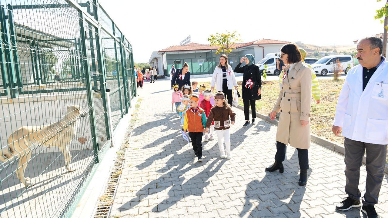 Kahramankazan’da minikler sokak hayvanlarıyla buluştu