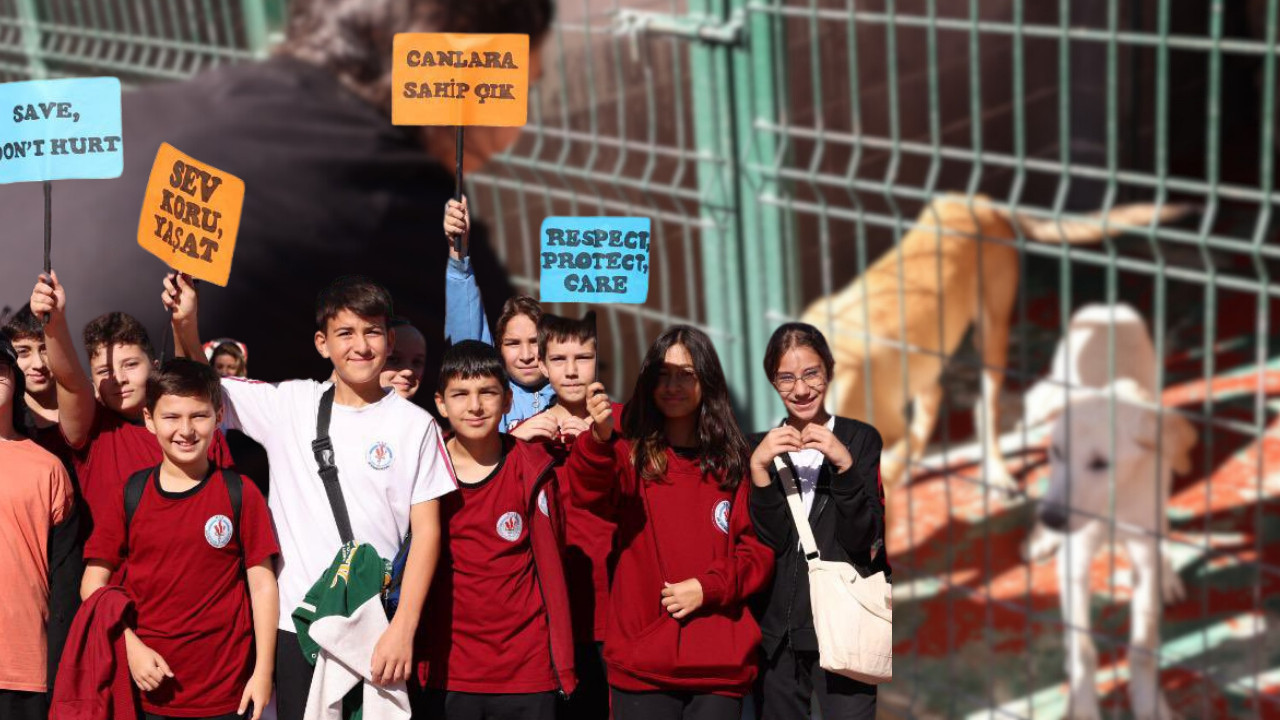 Çankaya’da hayvan sevgisi ders oldu! Öğrenciler barınağa akın etti