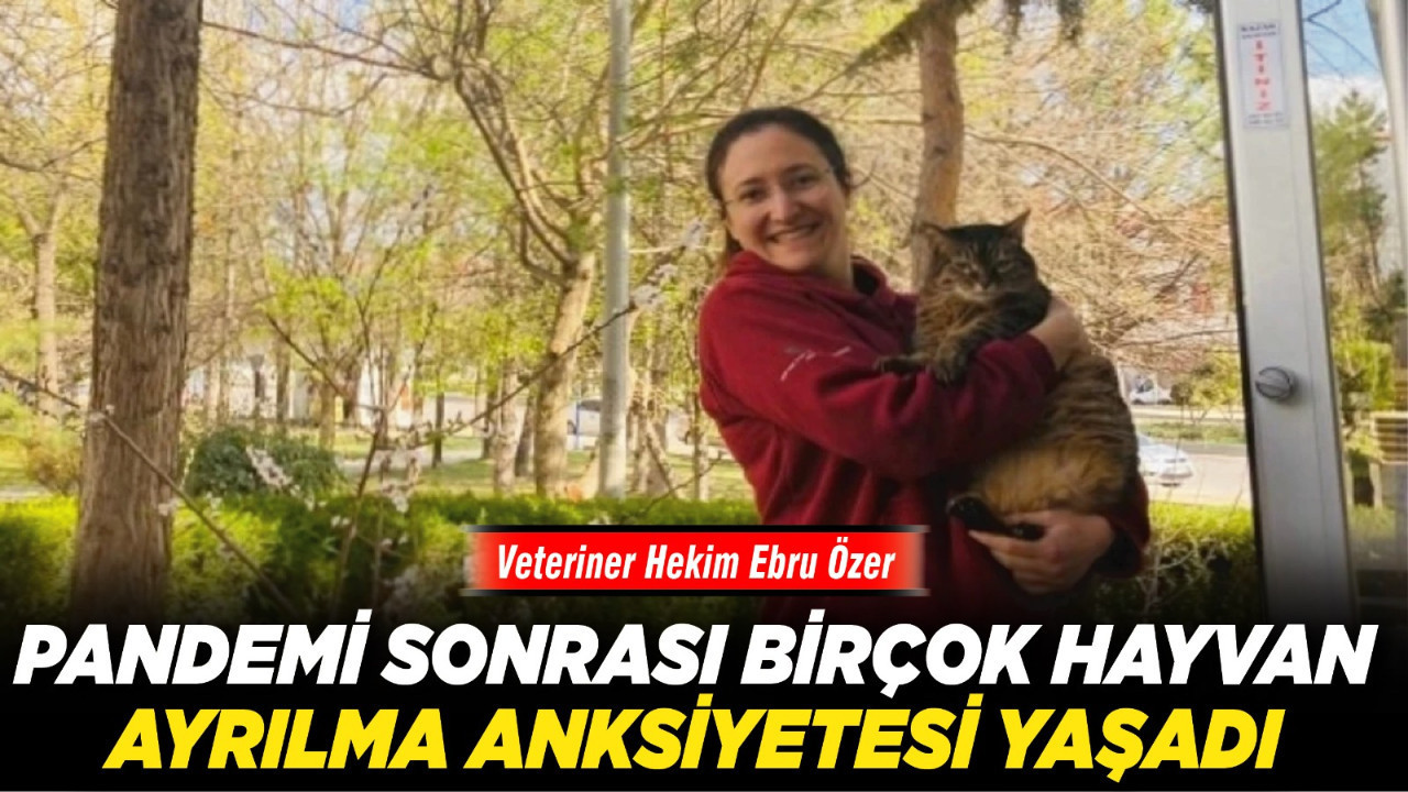 Veteriner Hekim Ebru Özer: "Pandemi sonrası birçok hayvan ayrılma anksiyetesi yaşadı”