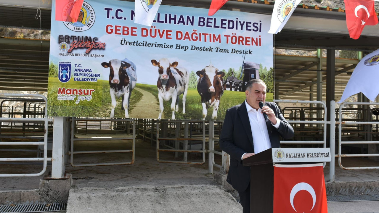 Nallıhan Belediyesinden hayvancılığa güçlü destek