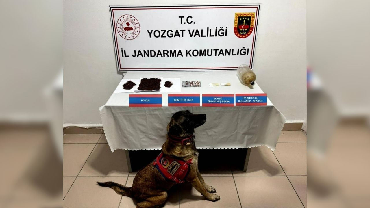 Yozgat’ta uyuşturucu operasyonu: Bonzai ve sentetik hap ele geçirildi