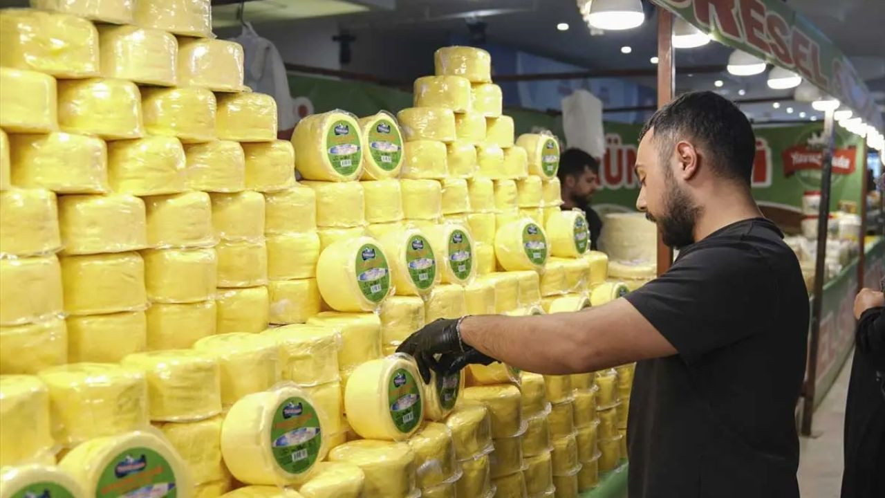 Ankara'da Erzurum lezzetleri festivali başladı! Cağ Kebabı ve Çeçil Peyniri ziyaretçileri bekliyor