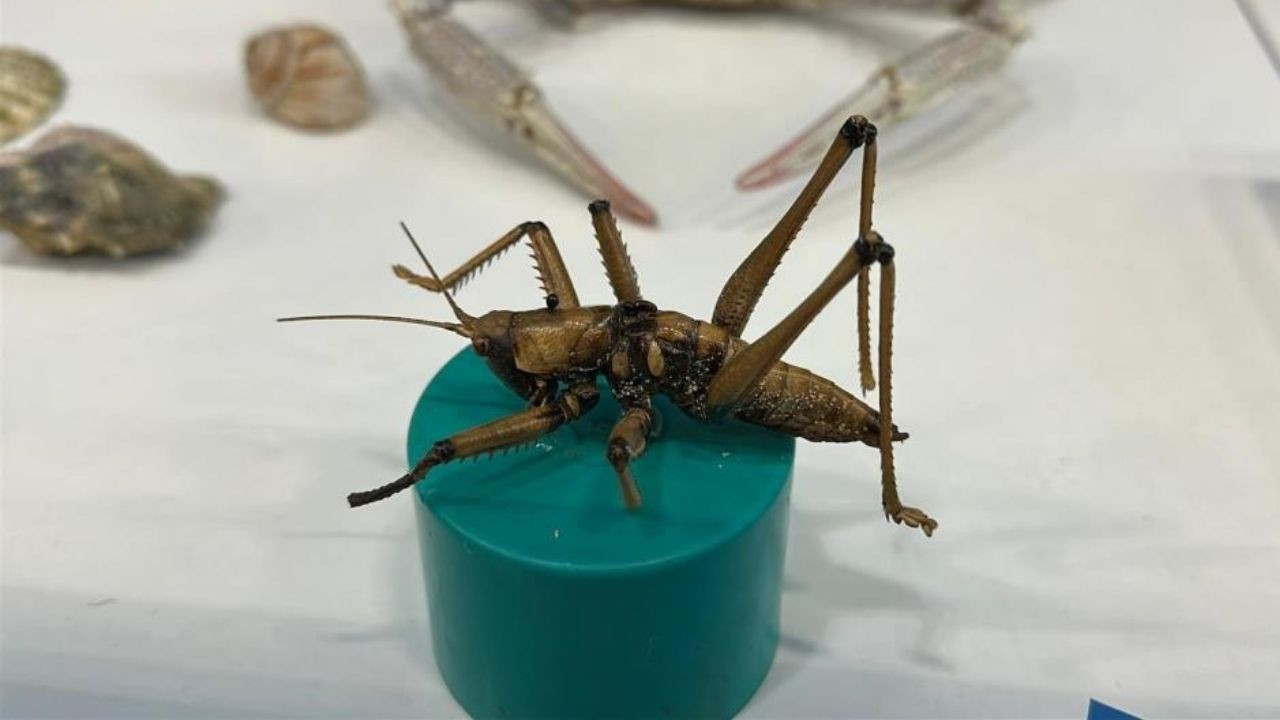 Karaman'da bilim merakı yaş sınırı tanımadı