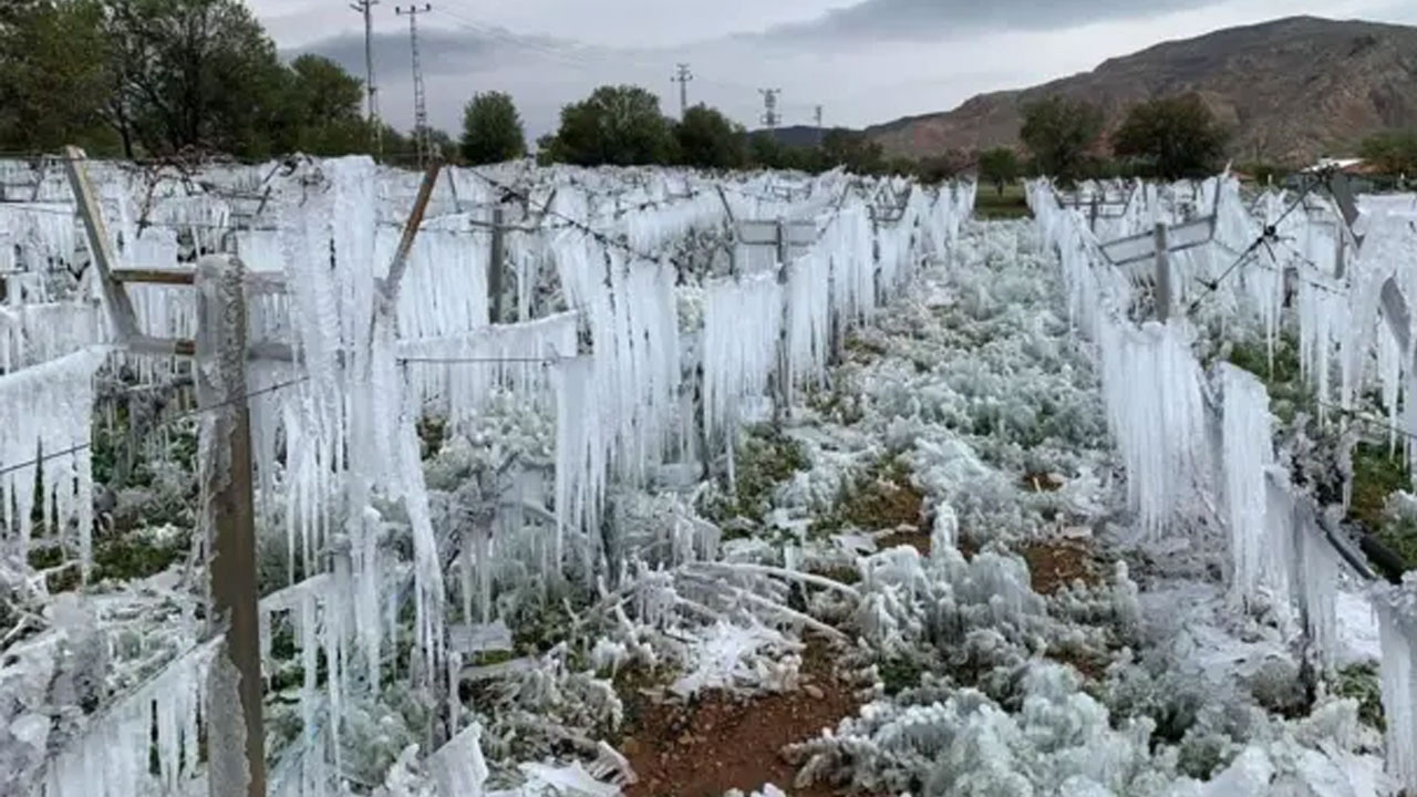 Kırşehir'de zirai don uyarısı: 5 kentte üreticiler dikkatli olmalı
