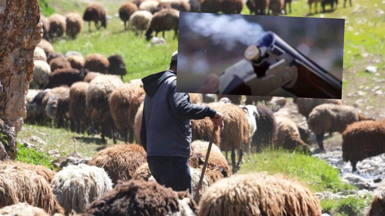 Kırıkkale’de hayvan otlatma kavgasında kan döküldü