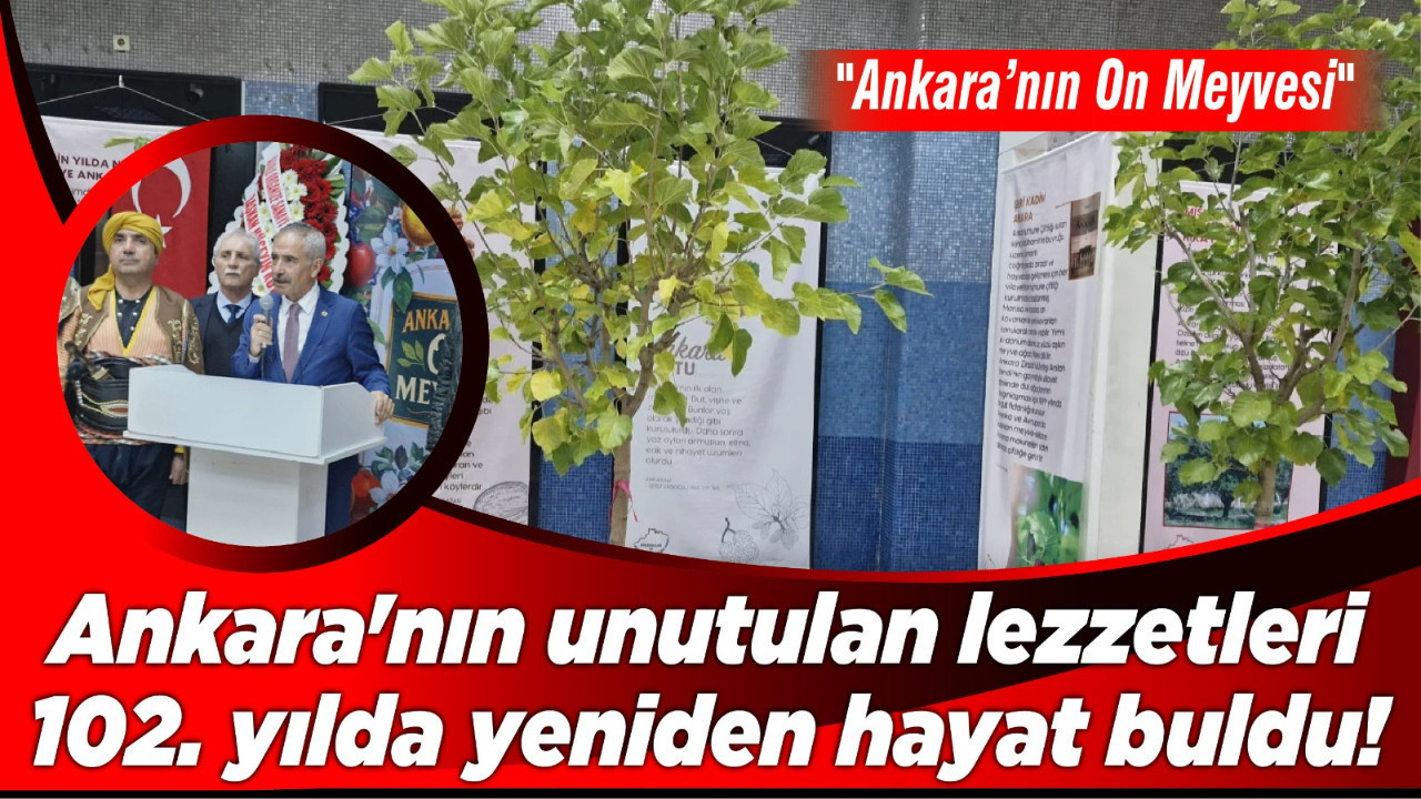 Ankara'nın unutulan lezzetleri 102. yılda yeniden hayat buldu! "Ankara’nın On Meyvesi"