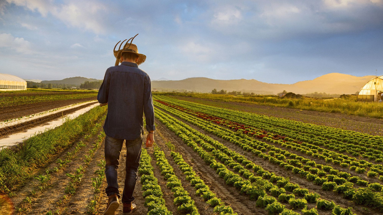 Çiftçinin enflasyonu durmadı: Meyve fiyatları uçtu!