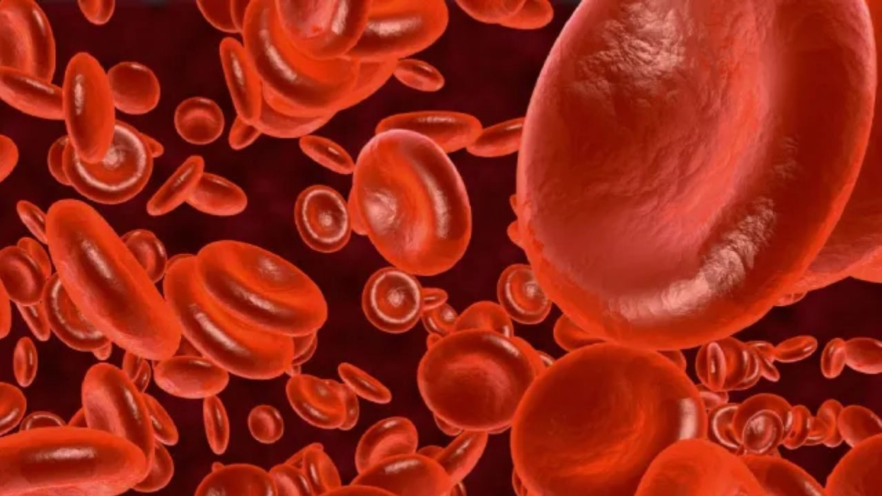 Kan tahlili HGB nedir? Düşük ve yüksek değerler ne anlama gelir?