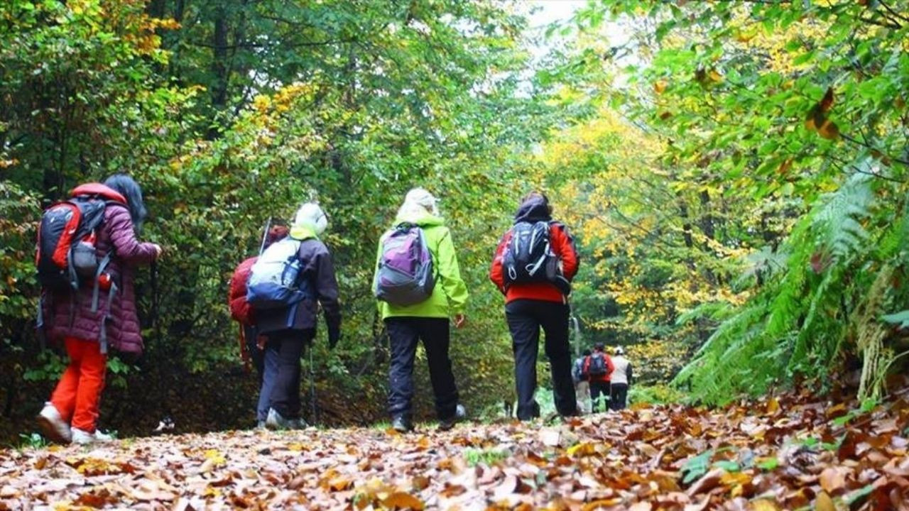 Adım adım sağlık: Çubuk’ta doğa yürüyüşü başlıyor!
