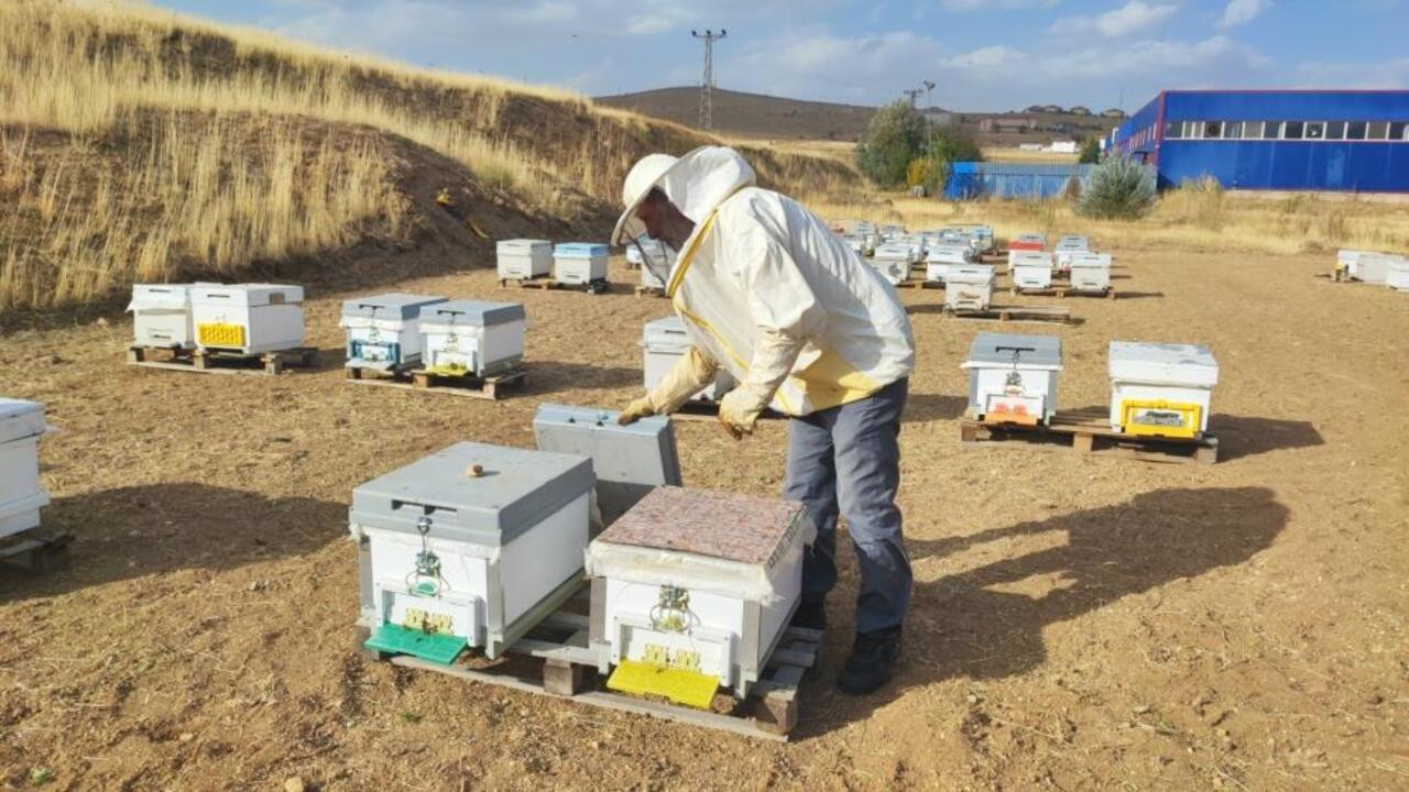 Kuş uçmaz kervan geçmez o yerde bal üretiyor