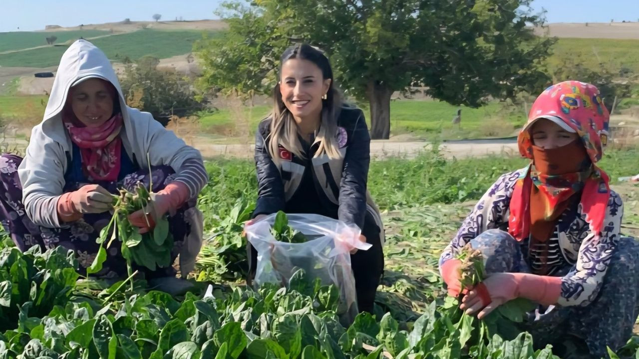 Beypazarı’nda tarım denetimi: Pestisitler titizlikle izleniyor