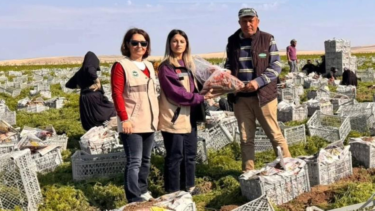 Beypazarı’nda pestisit kullanımına yakın takip!