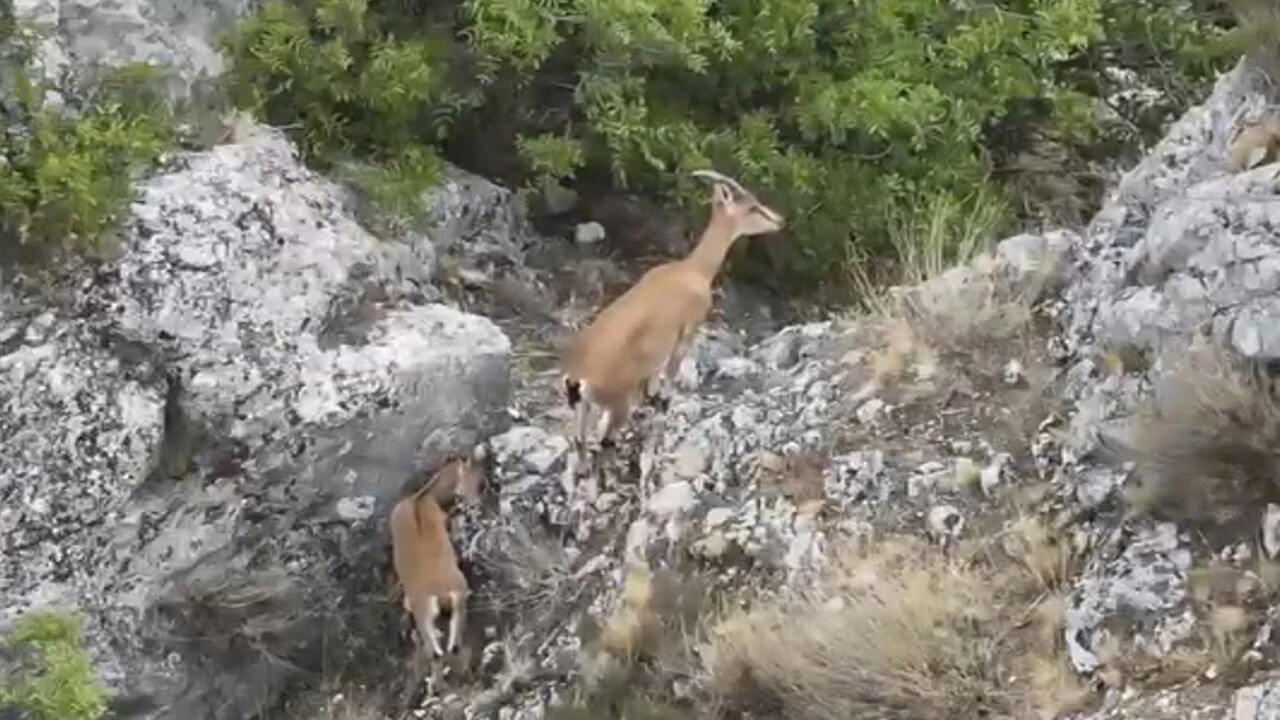 Kazankaya Kanyonu, iç ısıtan görüntülere ev sahipliği yaptı