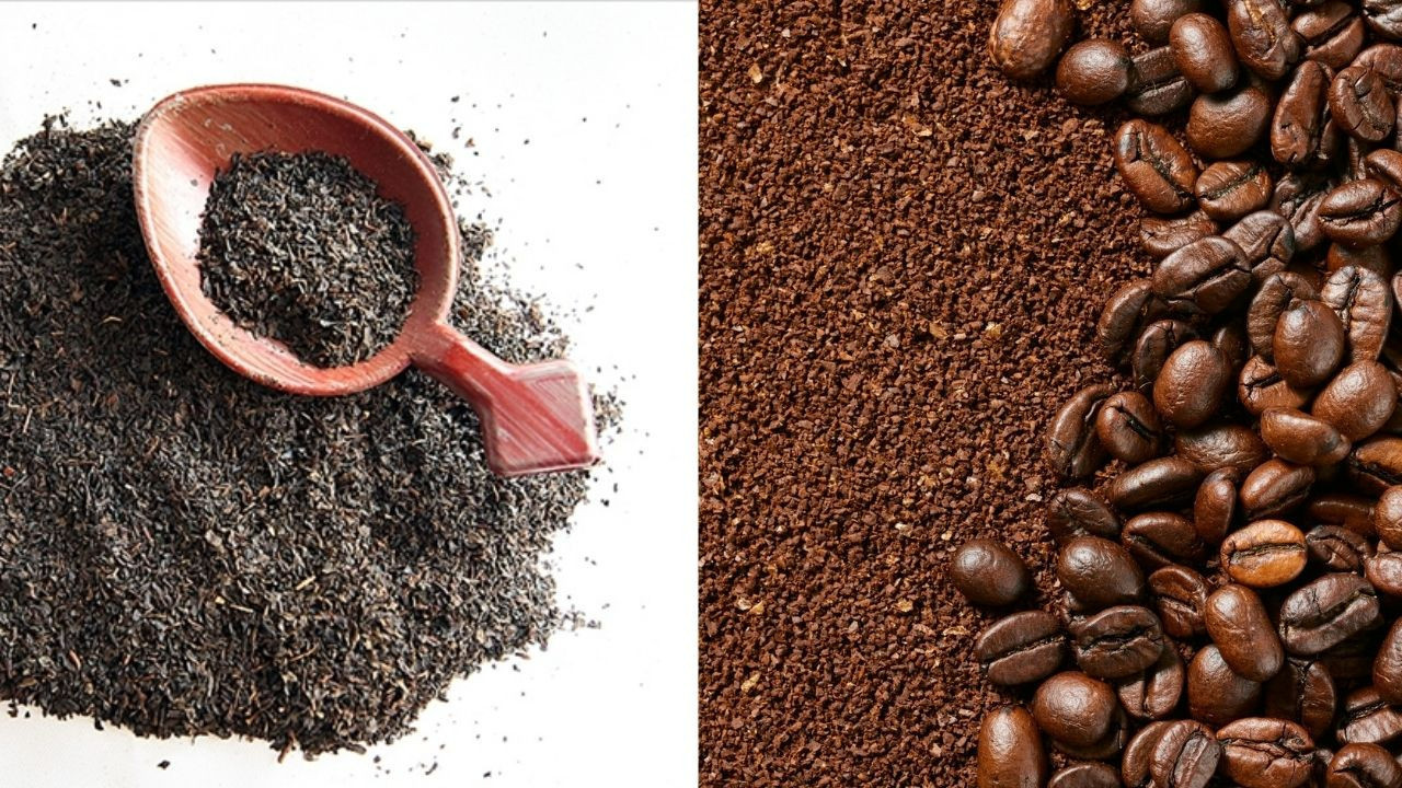 Prof. Dr. Uğur Coşkun değerlendirdi: Çay ve kahve kanser hastalarında ilerlemeyi yavaşlatabilir