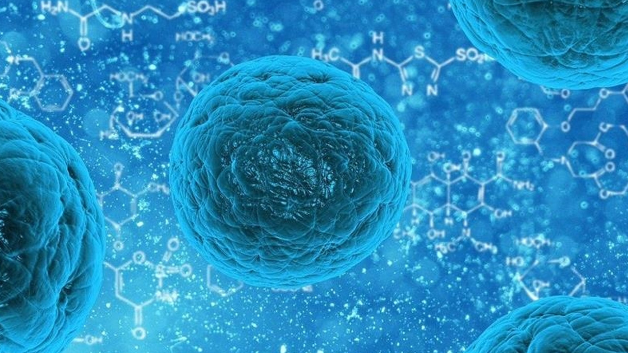 Ankara’da mide bulantısı ve kusma şikayetleri arttı! Yeni bir salgın mı geliyor?