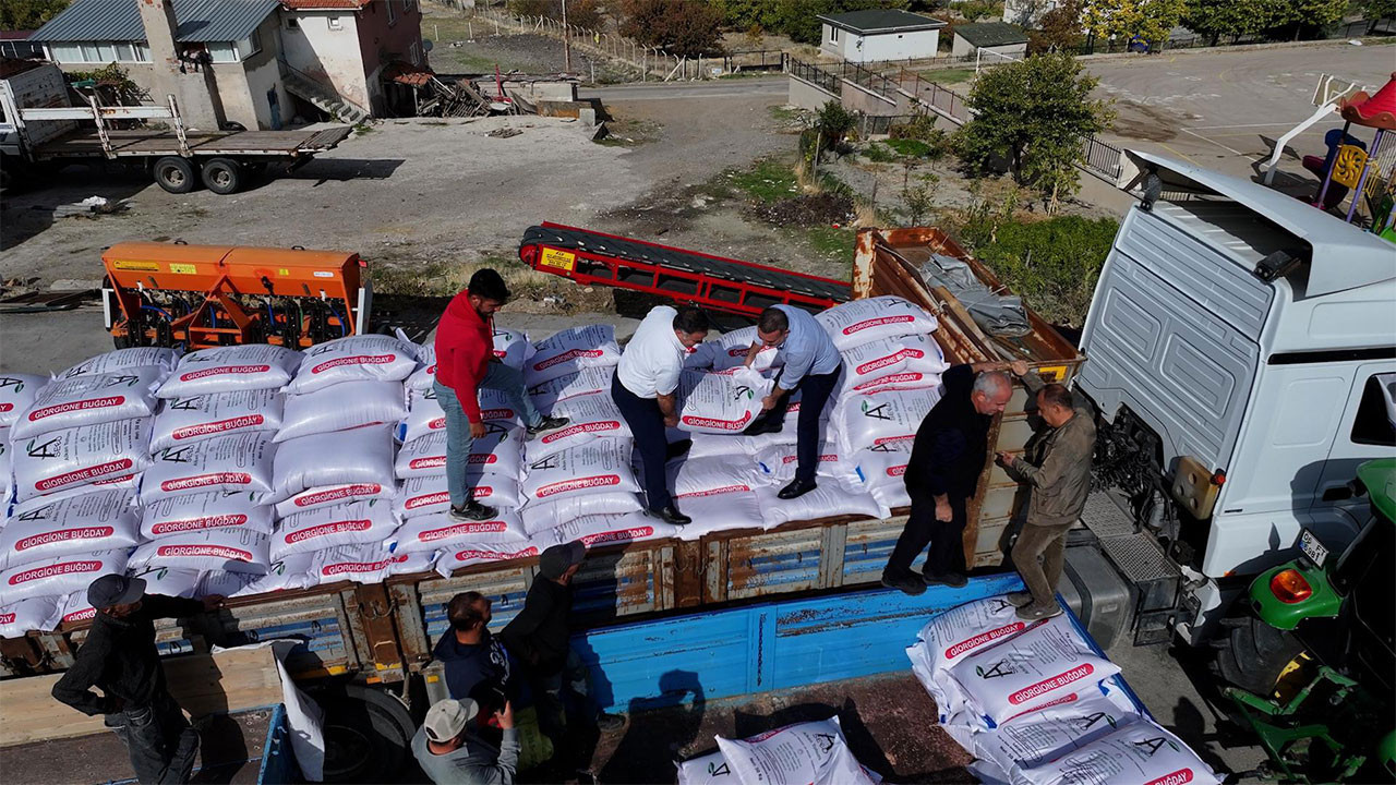 Sincan Belediyesinden çiftçiye can suyu: 615 ton buğday tohumu dağıtıldı