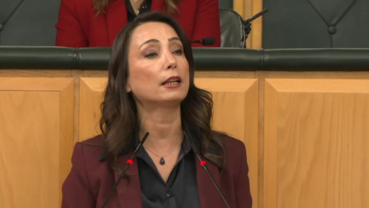 DEM Partiden barış ve siyasi tutuklular için çağrı