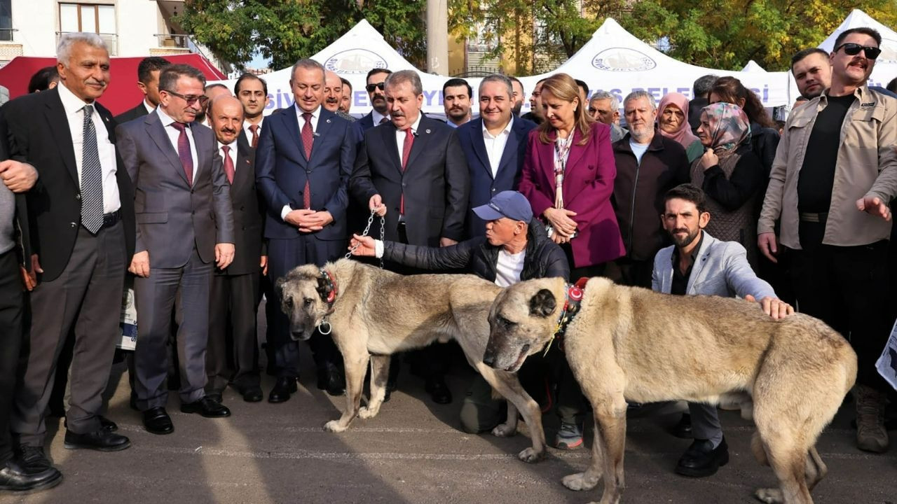 Keçiören'de Sivas Günleri devam ediyor! Dr. Özarslan, vatandaşlar ile dolu dolu bir gün geçirdi