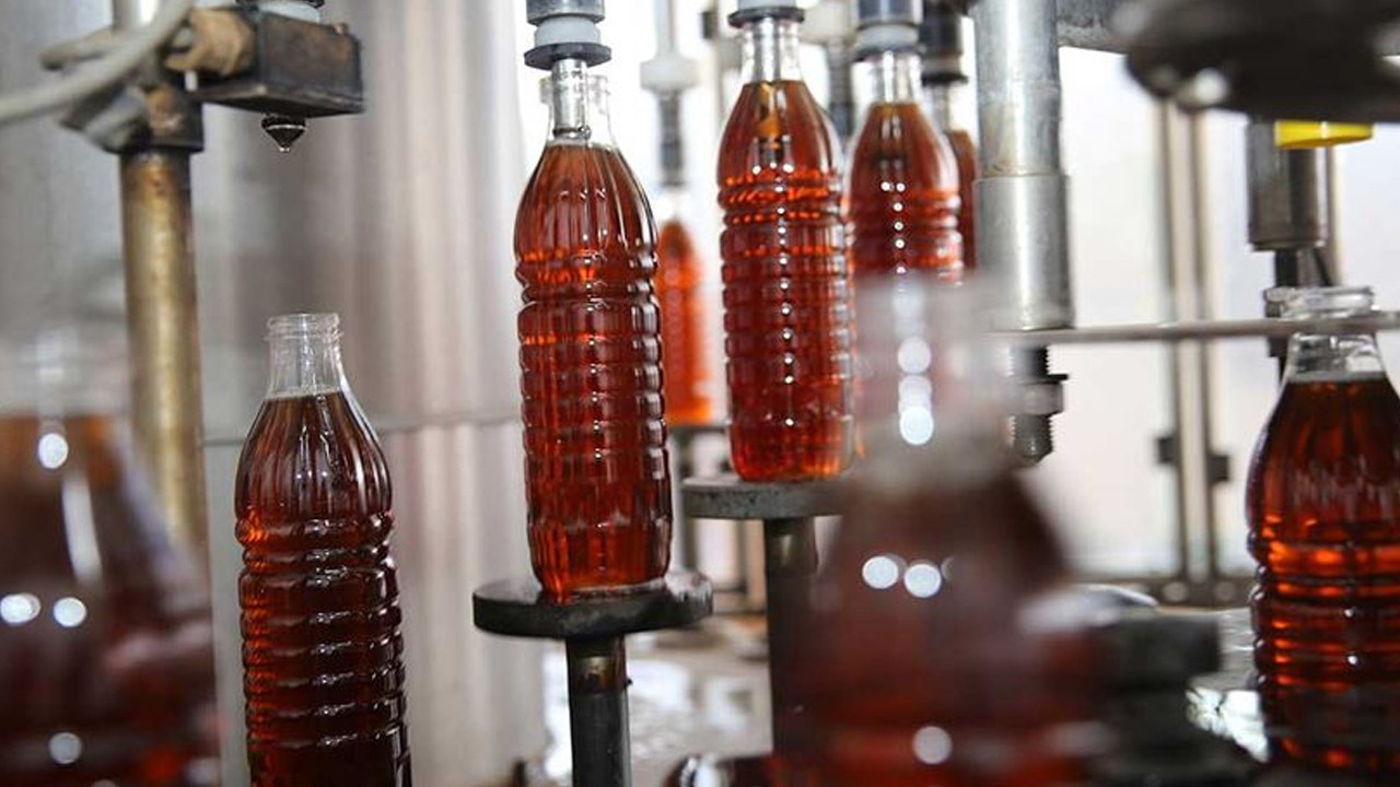 Elma mı üzüm sirkesi mi daha faydalı? Uzmanlar farklarını açıkladı