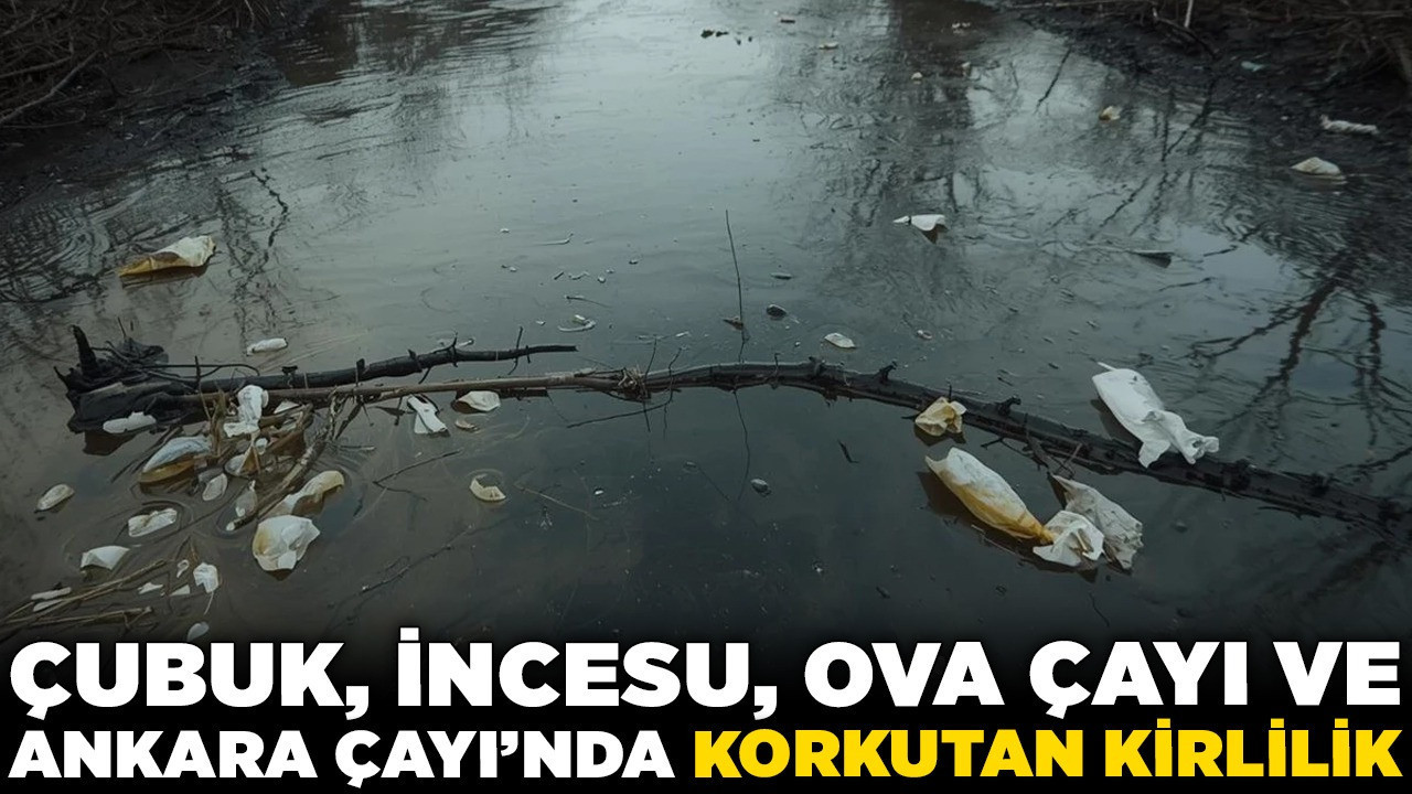 Ankara zehirleniyor! Çubuk, İncesu, Ova Çayı ve Ankara Çayı’nda korkutan kirlilik!