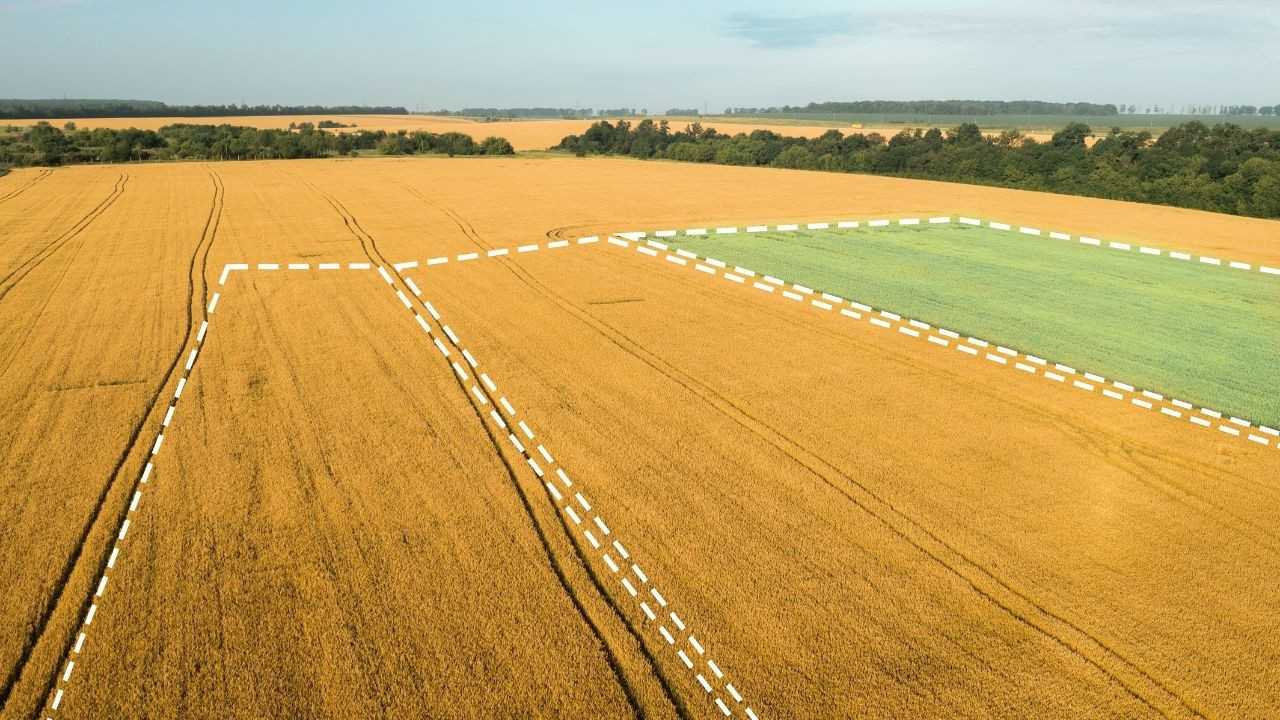 Haymana'da küçük yatırımcıya cazip tarla! KDV'den muaf tarla ihalesi için geri sayım başladı