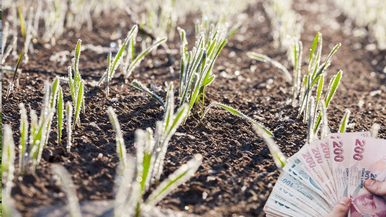 Bakan Yumaklı’dan üreticilere müjde! Zirai don destekleri sürüyor