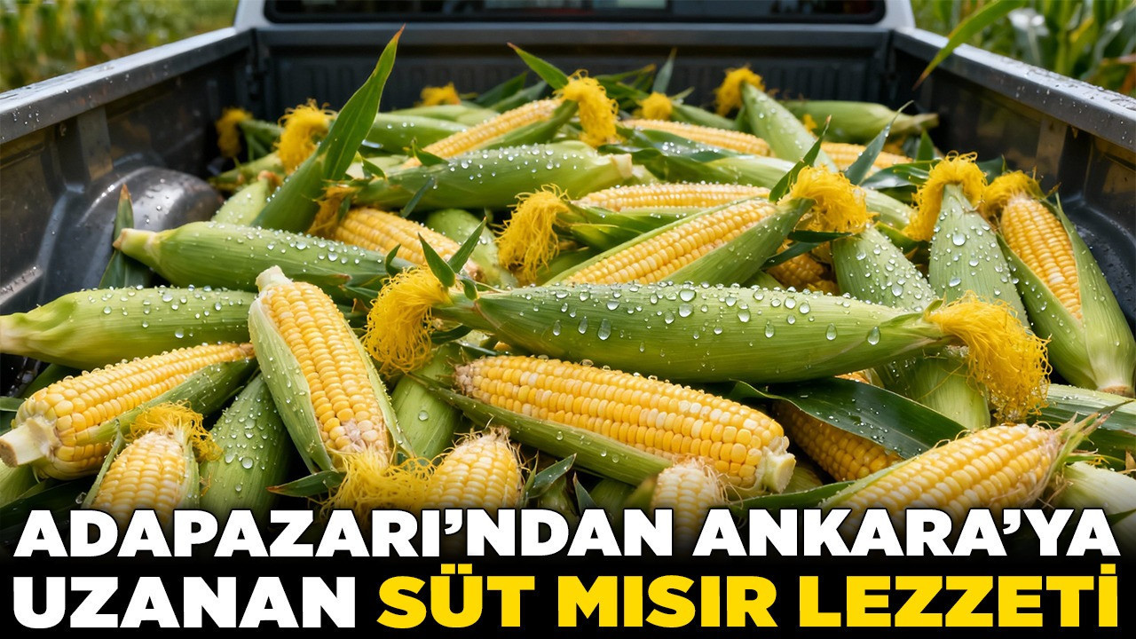Tarladan tezgâha! Adapazarı’ndan Ankara’ya uzanan süt mısır lezzeti