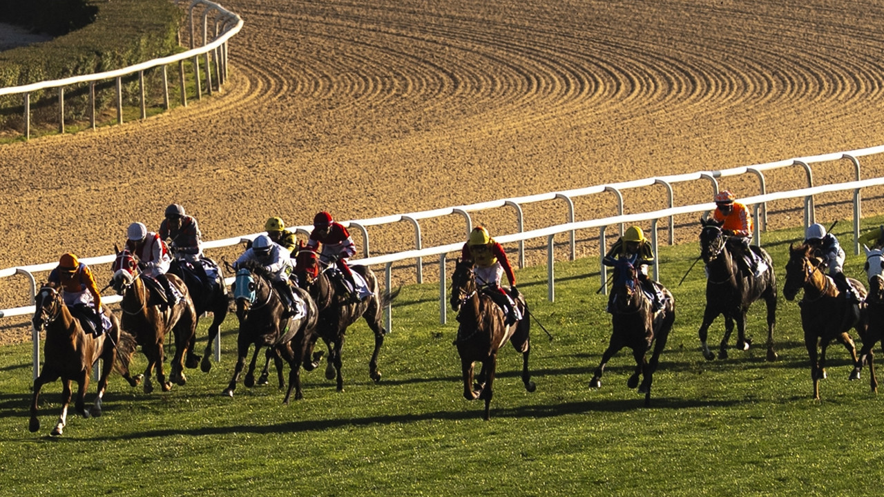 Ankara Hipodromu’nda nefes kesen yarış! Şampiyonlar belli oldu