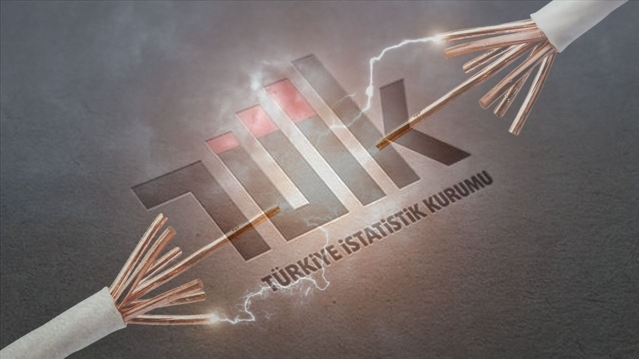 TÜİK açıkladı: Hizmet sektörü elektriğe doymuyor!