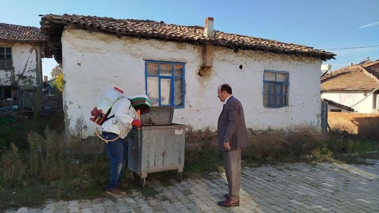 Çorum’da sarı-siyah tehlike! Evin çatısını mesken tuttular