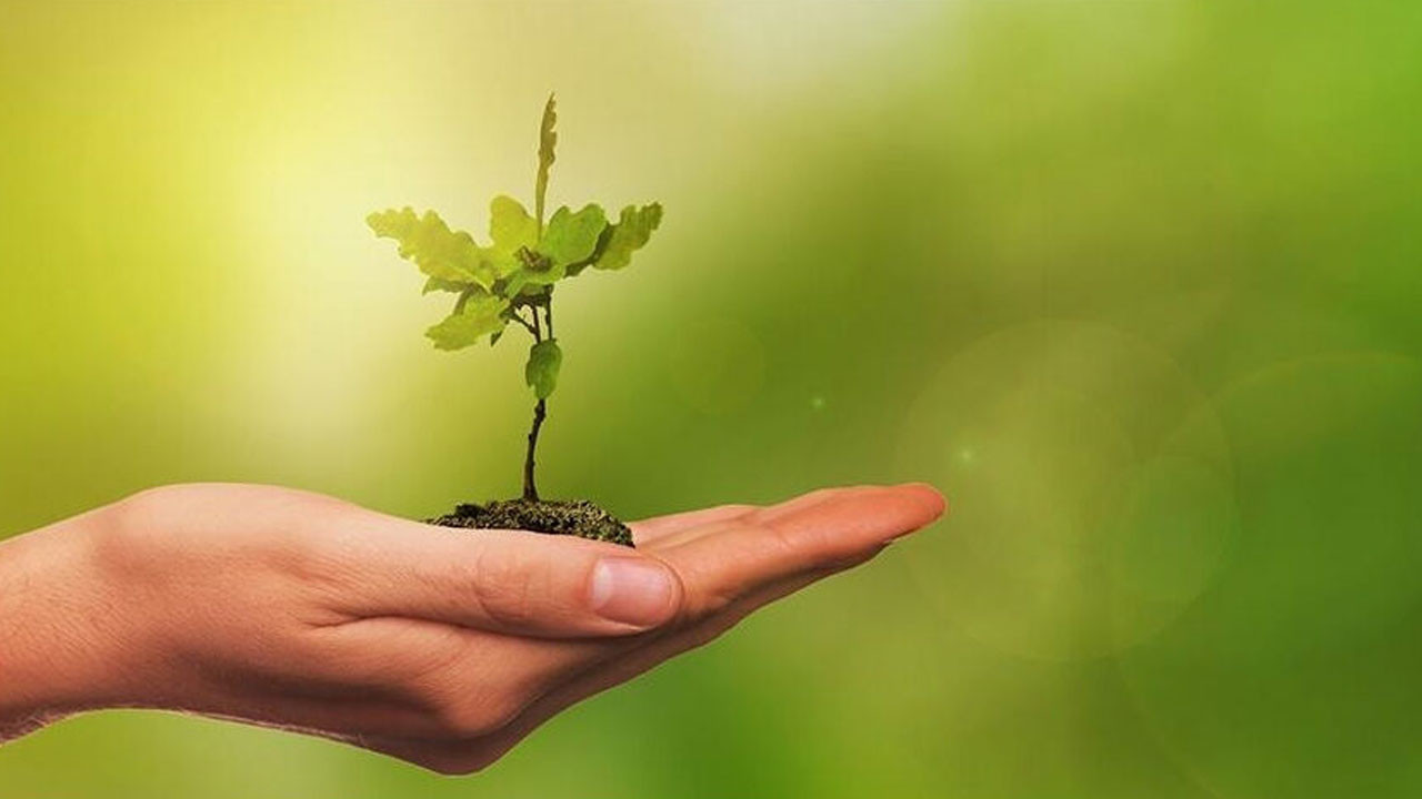 Sincan’da “Yeşil Vatan" seferberliği: Geleceğe nefes ol kampanyası başlıyor