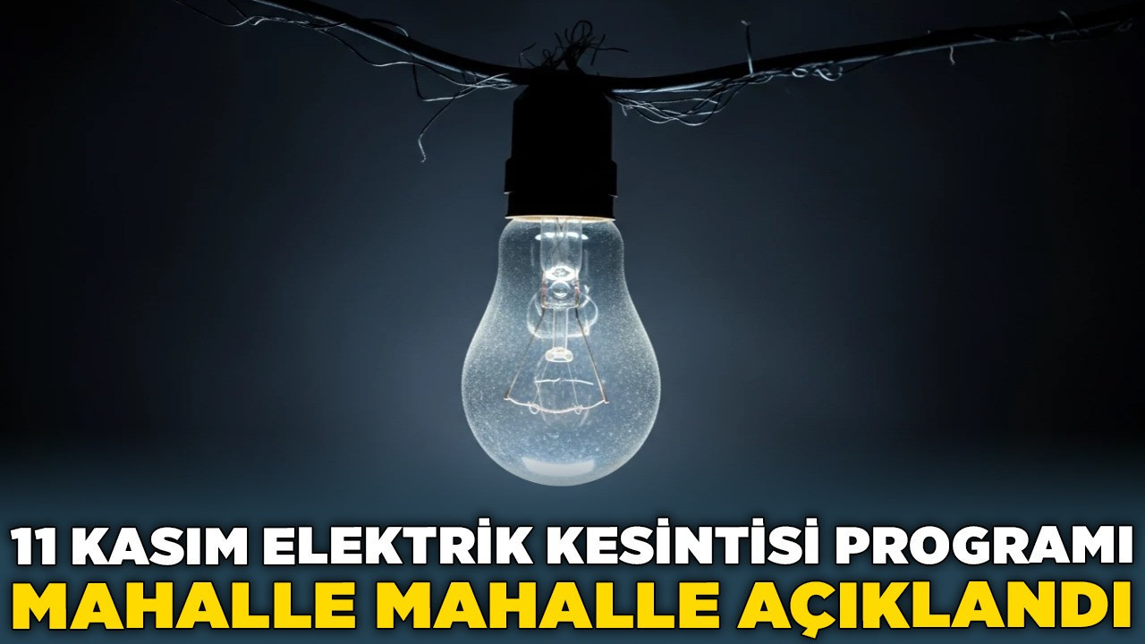 Bakım ekipleri sahada olacak! 11 Kasım elektrik kesintisi programı mahalle mahalle açıklandı