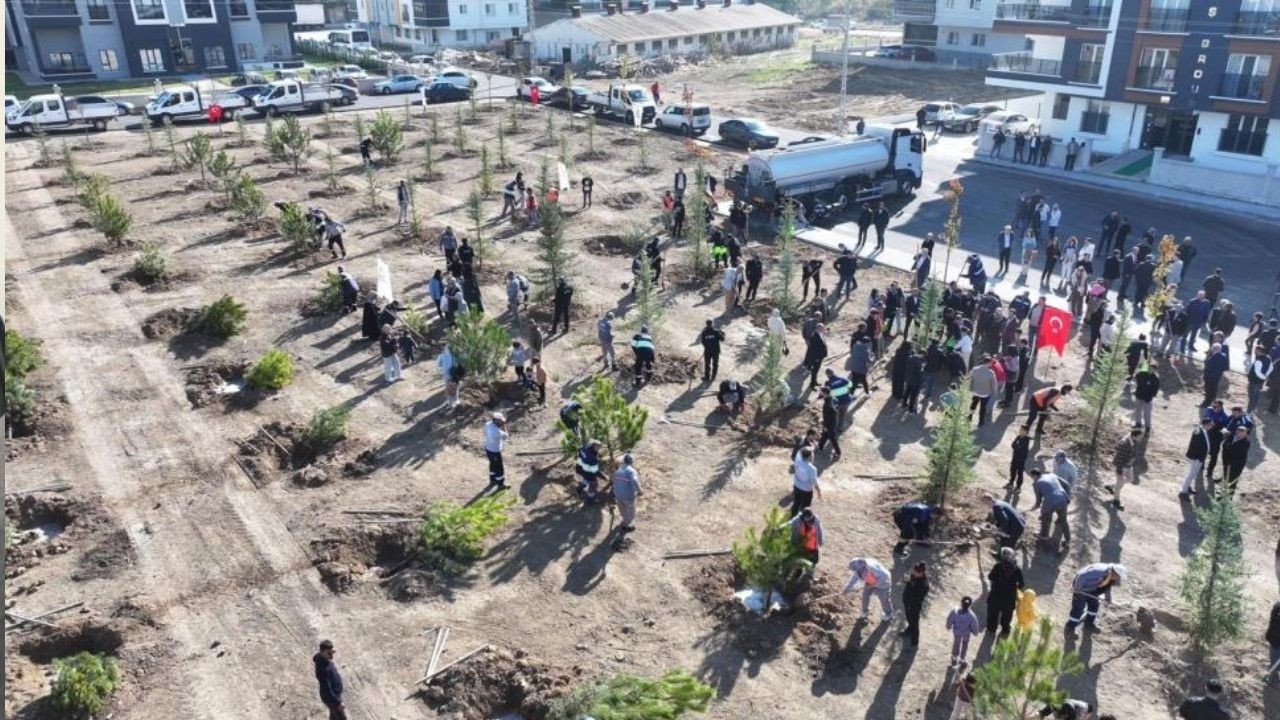Sincan’da yeşil seferberlik: 244 fidan toprakla buluştu