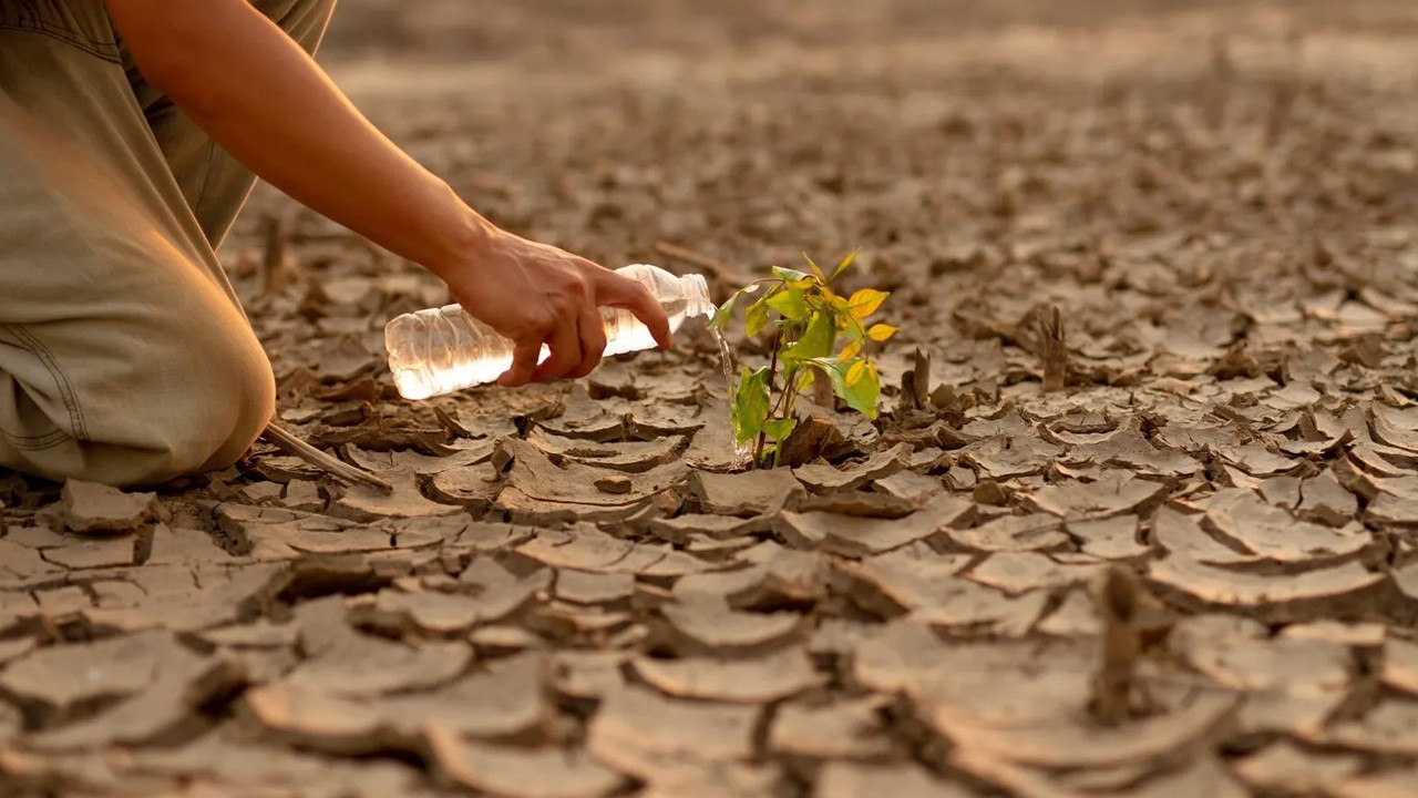 Ankara Üniversitesinden küresel krize yerel dokunuş