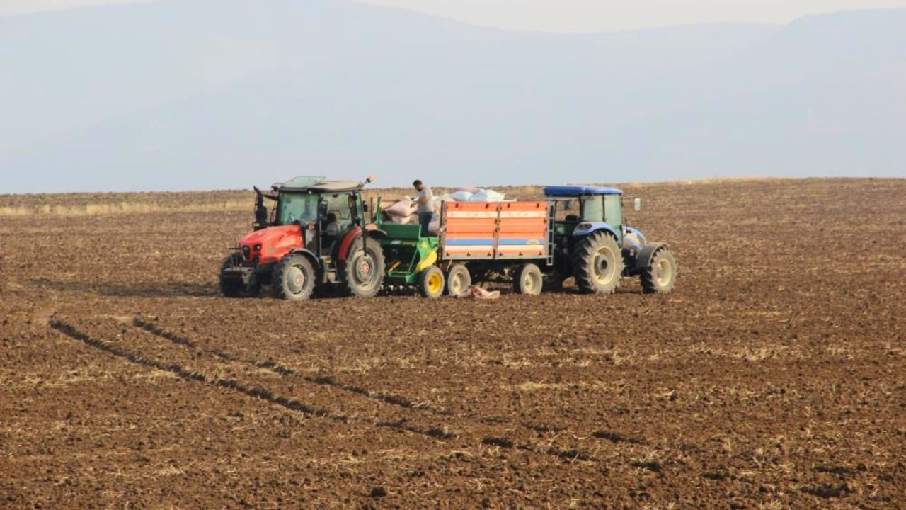 Çorum’da güz ekimi başladı! Çiftçiler hububat, soğan ve patates ekimine başladı