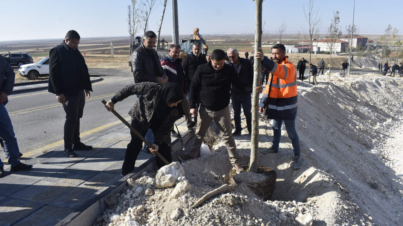 Şereflikoçhisar yeşile bürünüyor: Belediyeden ağaçlandırma etkinliği