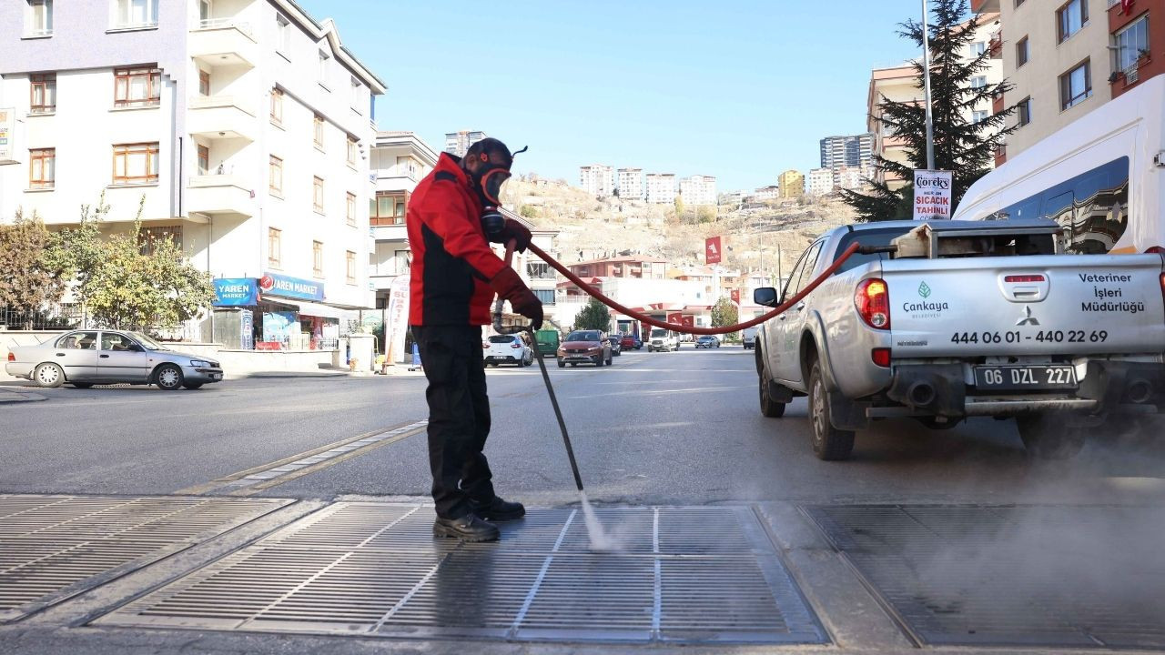 Çankaya’da haşerelere karşı 4 mevsim süren sır perdesi! Peki nasıl başarıyorlar?