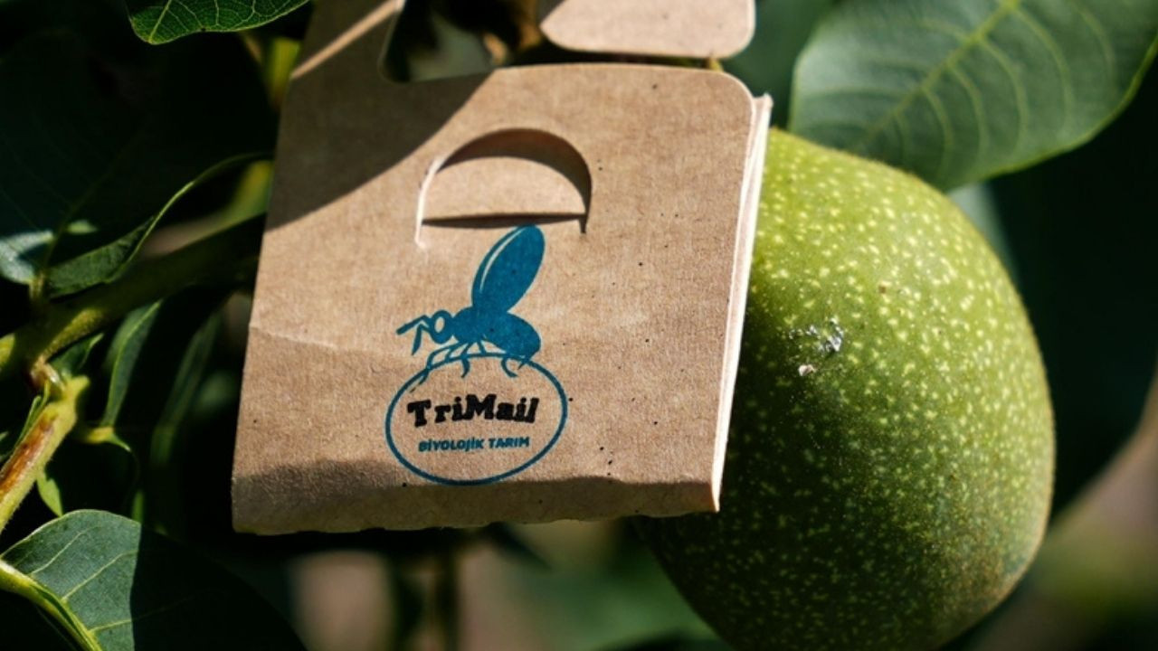 Tarımda akıllı böcek uygulaması nedir? Doğal mücadele ile sürdürülebilir üretimin yeni yolu