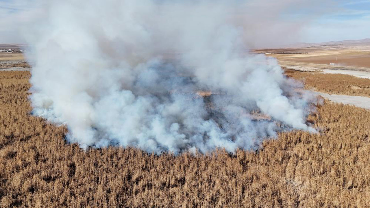 Gökgöl alevlere teslim! Kuruyan kuş cennetinde sazlık yangını büyüyor