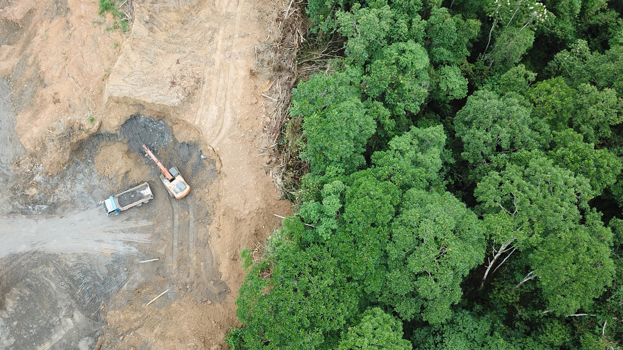"Kirleten öder" vergisi gündemde! Ormanlar yok oluyor, planlar gecikiyor... Amazon’daki iklim zirvesinde sert mesaj!