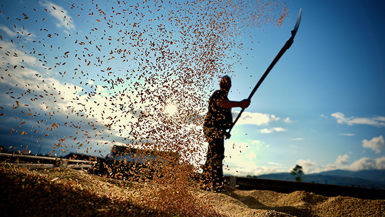 Tarımsal maliyetler açıklandı! Gübre ve veteriner harcamaları fırladı
