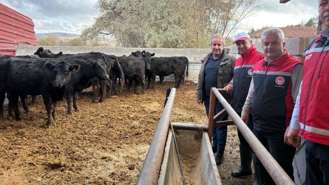 Yozgat'ta hayvancılığa can suyu! İlk hayvan teslimatları yapıldı