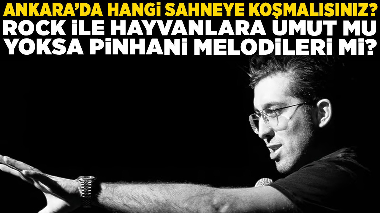 Ankara'da hangi sahneye koşmalısınız? Rock ile hayvanlara umut mu, yoksa Pinhani melodileri mi?