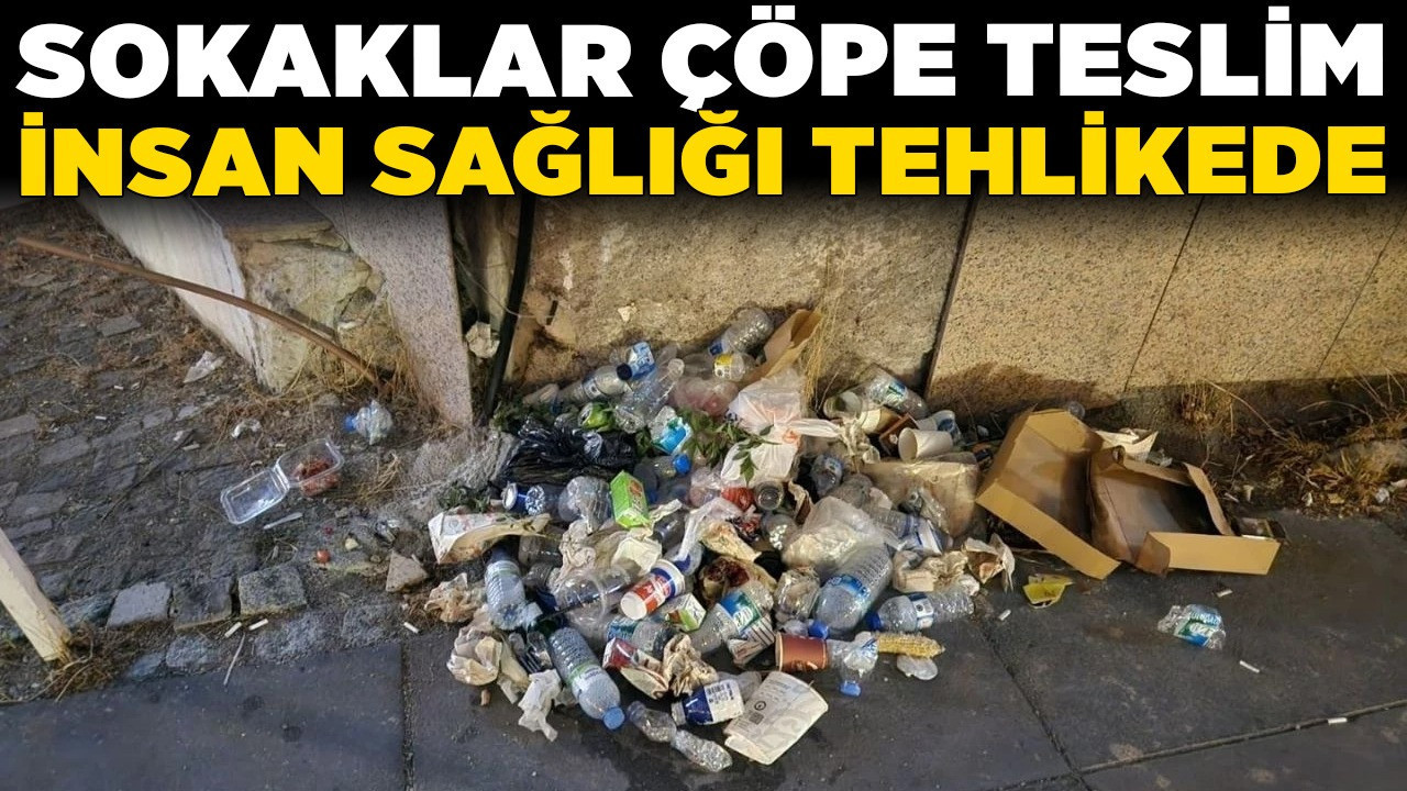 Ankara'da artan çöp sorunu krizi: Sokaklar çöpe teslim, insan sağlığı tehlikede