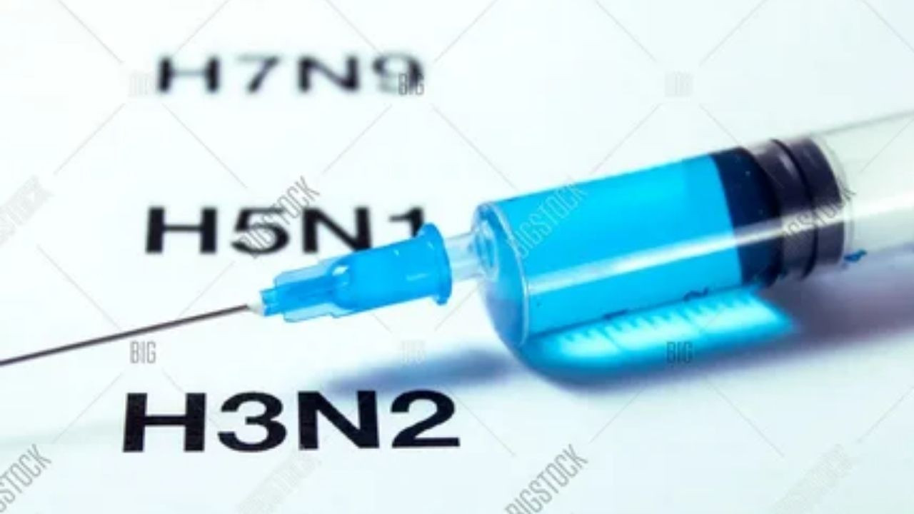 Ankara’da H3N2 alarmı! H3N2 nedir, nasıl bulaşır ve belirtileri neler?