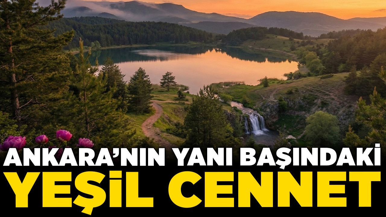 Ankara'nın yanı başındaki yeşil cennet: İşte Çubuk’un keşfedilmeyi bekleyen 22 doğal rotası