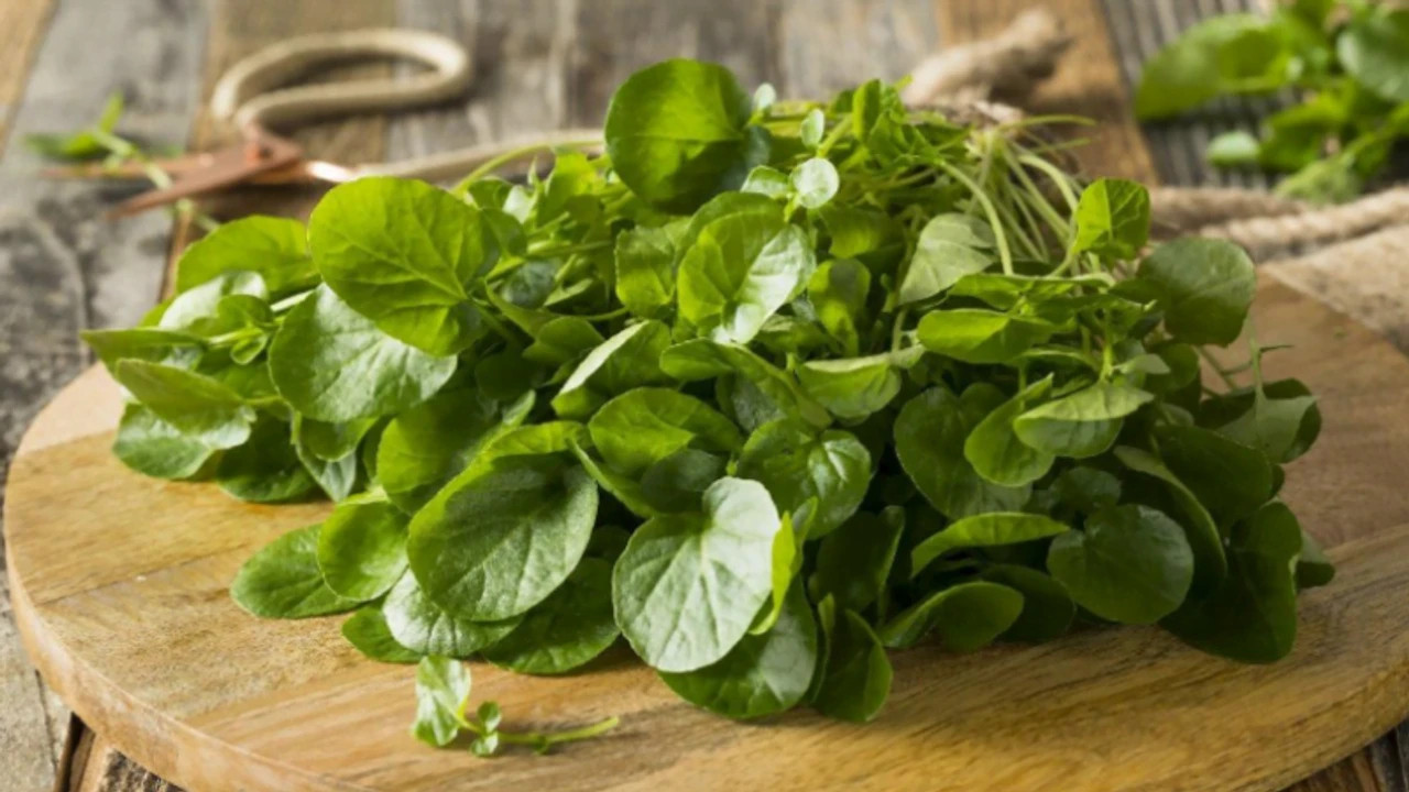 Dünyanın en sağlıklı sebzesi şaşırttı