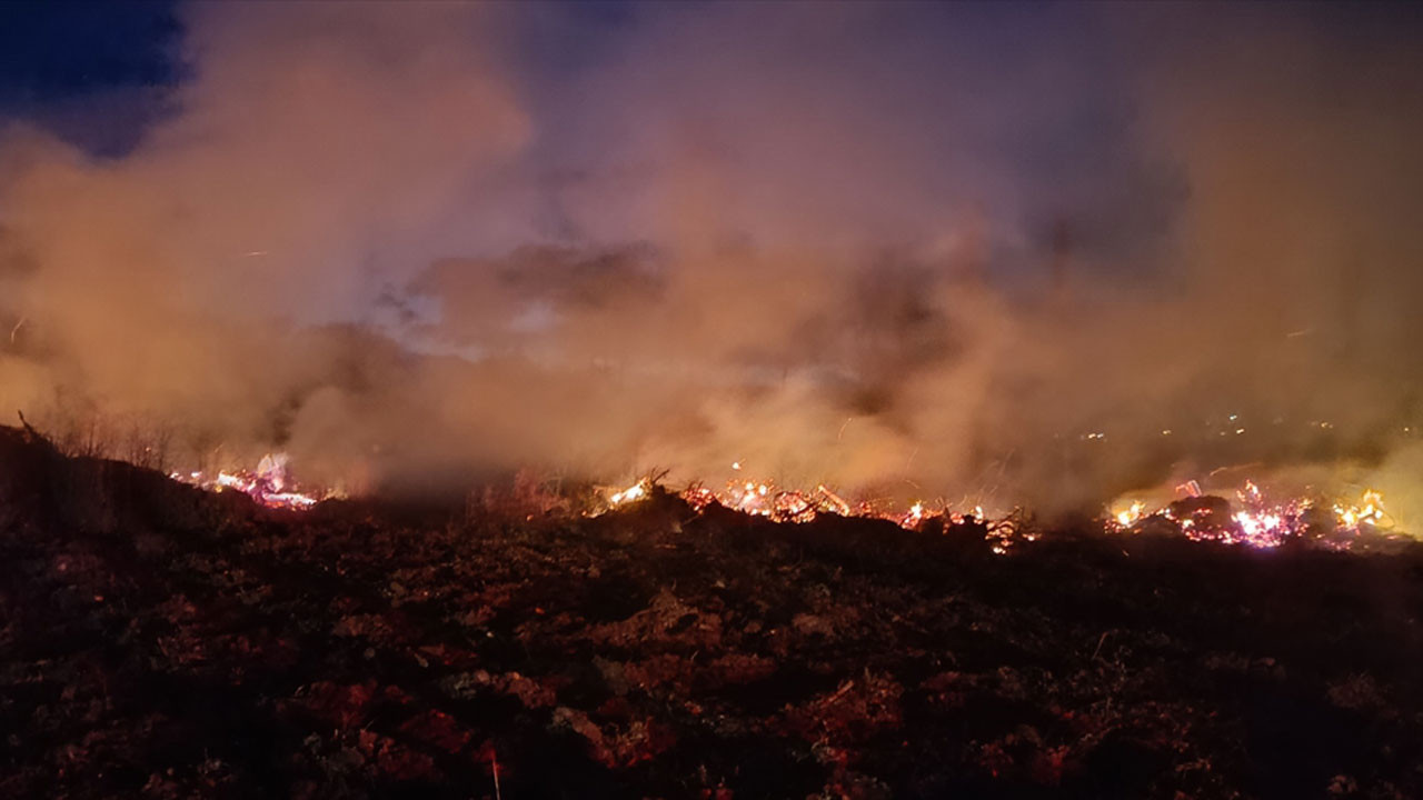 Rüzgâr kontrolü bozdu: Pazaryeri’nde çiftlik arazisi alevlere teslim oldu!