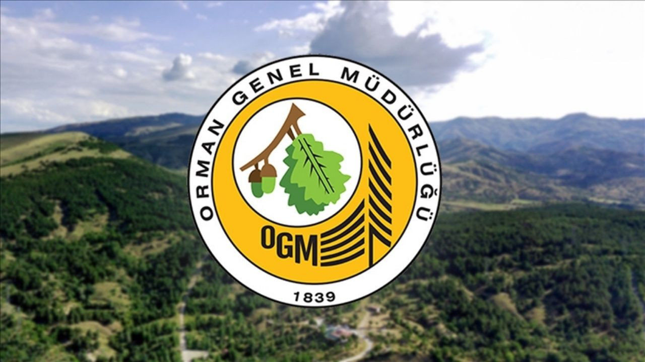 Mülakatsız kamu alımı: OGM yüzlerce personel için il il kontenjan açtı!